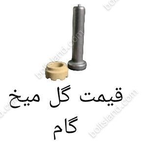 قیمت گل میخ گام