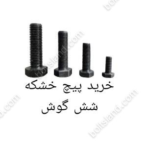 خرید پیچ خشکه شش گوش