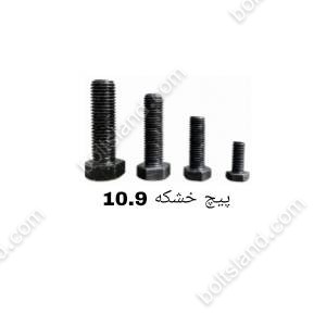 پیچ خشکه  10.9